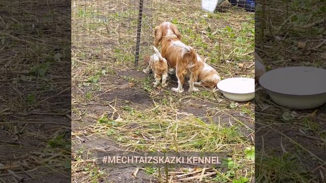 206d8058e71fd8e8a2d511490d829b30