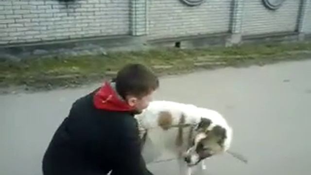 A7949fd26c1b7a513ebb856f029b9a5b