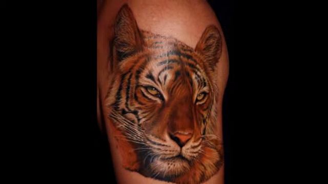 967137c43dc540c9df639c4c505f1c3d