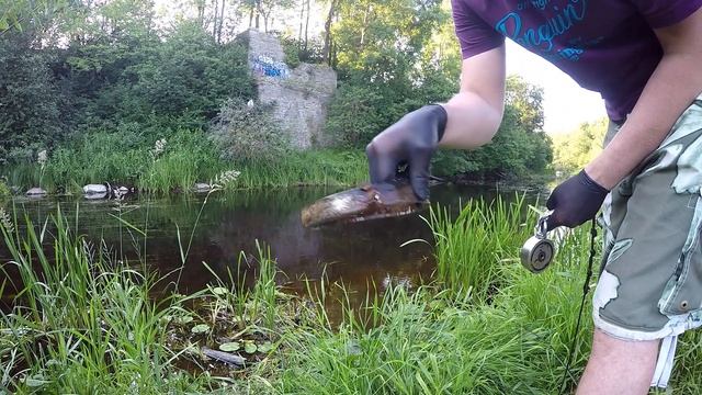 Зацеп,Самокат,Мафиозий !Интересные находки на поисковый магнит!!!Разрушенный жд мост 1917г !!!