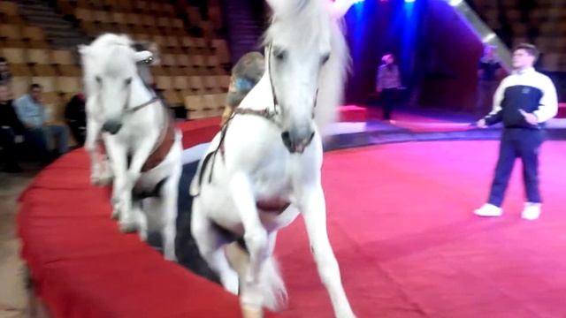 1fa024548d554d452539fce7fe0965c2