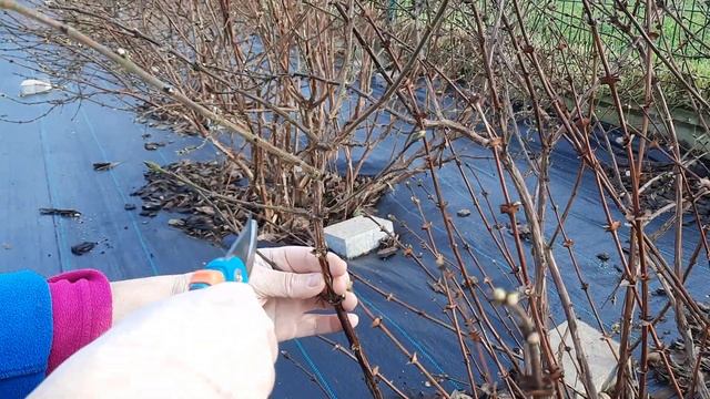 79f87d1fae2a59a6b1ae87a5b2547d03