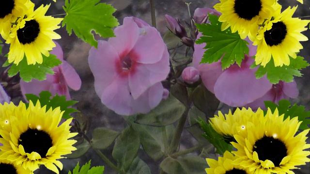 Eeeb7ad9b3e4f566704a9f69ec1364c6