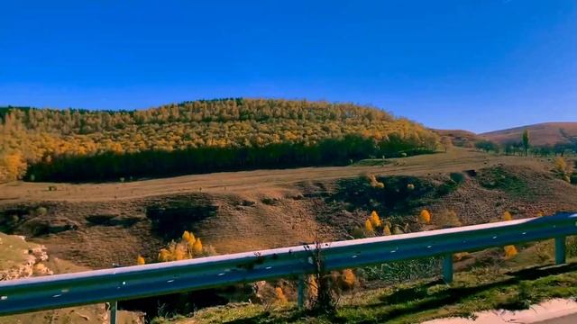 597b44d31634179be6999608bf1e9beb