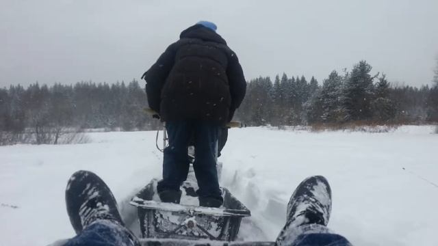 МотоСобака