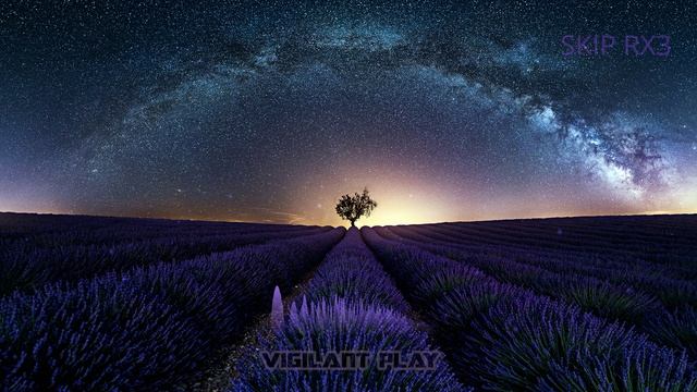 Vigilant PLAY - Skip RX3