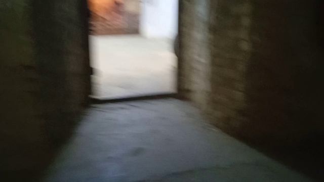 VID_20230217_132821.mp4