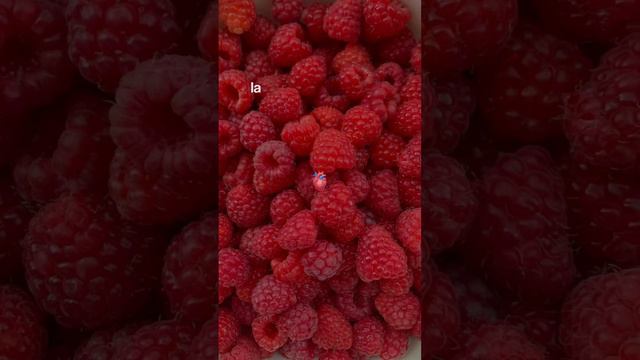 подписывайся! 🎀 #study #уроки #studywithme #делаюуроки #учеба #огэ #егэ #егэ2023 #егэ2024 #каникулы