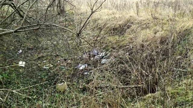 МЕТАЛЛОКОП ПОД ЗВОН КОЛОКОЛОВ БЛИЗЬ ДЕРЕВНИ