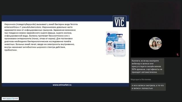 Болезни декоративных ежей