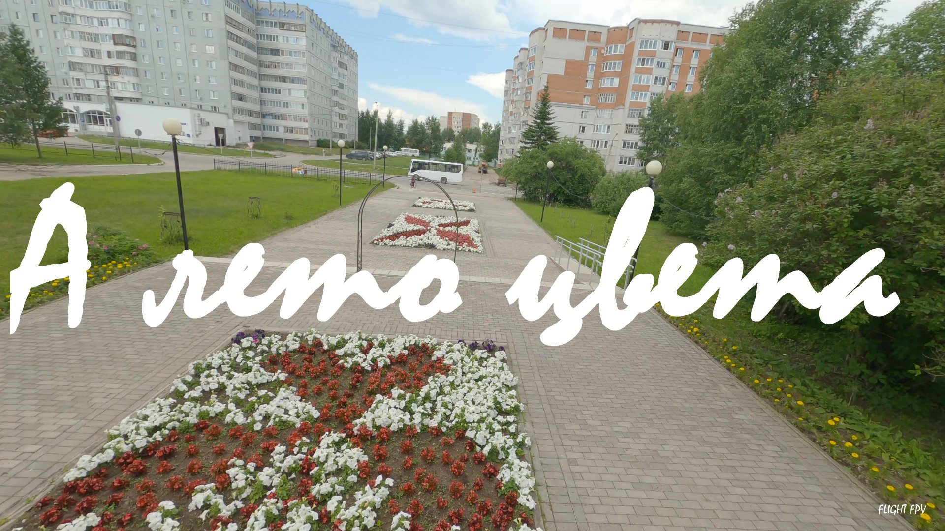 А лето цвета