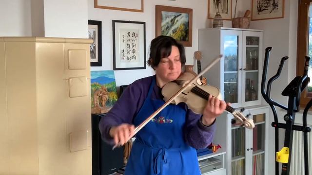 First Notes On Newborn Instruments: Violoncello Da Spalla Inspired By J. Wagner And Violin In White