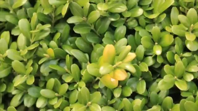 Молодой сантехник увидел свою фотографию в чёрной рамке...