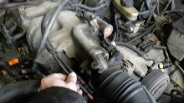 Мир Автоспорта