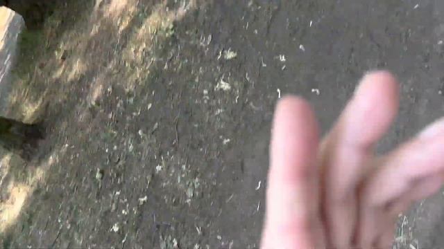 39a9b66c7615926096d23d13becd1039