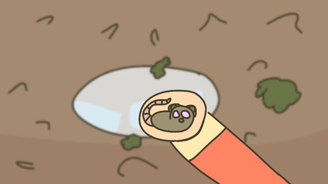 1514bb5bcfbf4547e0b828a353087612