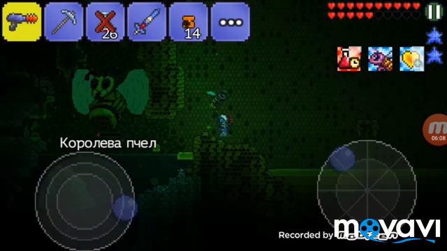 Terraria #6 Джунгли, Пчела, Слизень