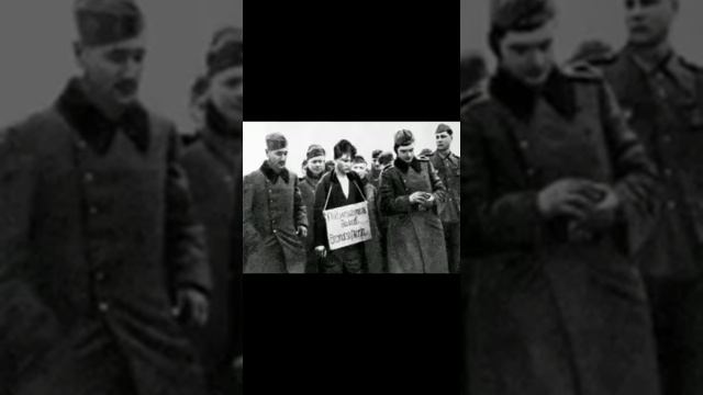 Акция Видеорассказ 