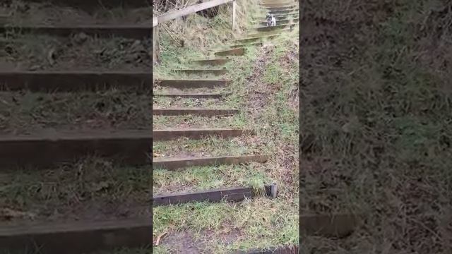 41cc99a5a1e5ffd299a80a05d4d7dc6f