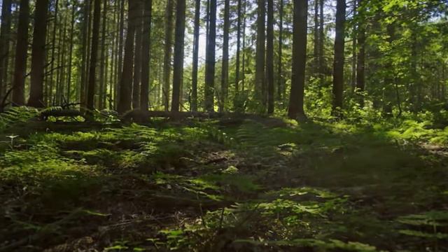 Любимые книги