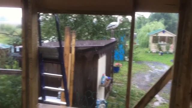 Ильин день! С Днём ВДВ!???