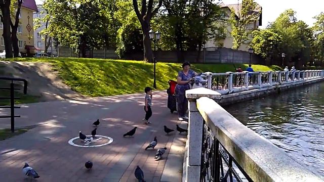 Верхнее озеро Калининград