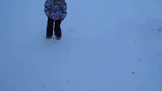 1a2377211070d758245a35cd5f9ae4b6