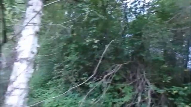 Как интересен Закатовский пруд летом и со льдом.?????