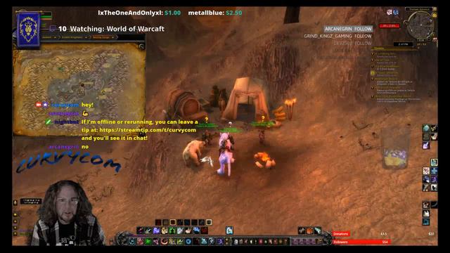 Hunter WoW Leveling With Curvycom - Searing Gorge 17