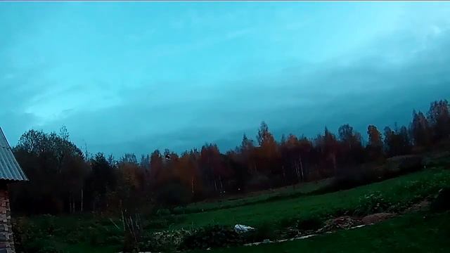 Blade 200 Sr X Первый полёт.