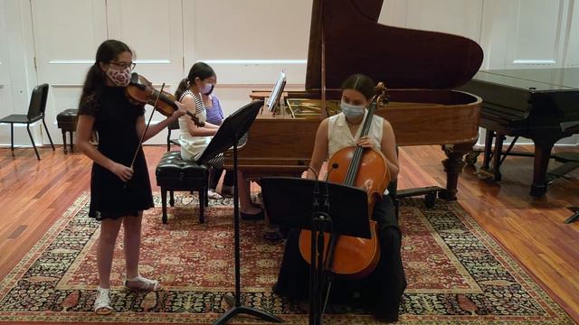 Mendelssohn Piano Trio No. 1 In D Minor, Molto Allegro Ed Agitato