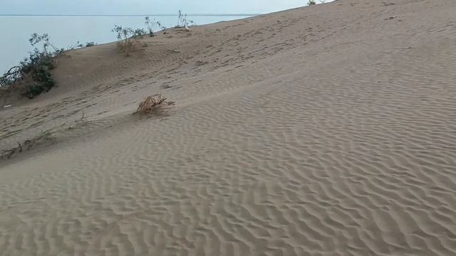 A73f52a1ed2c778430593eb92986d031