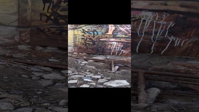 Обзор заброшенного ботанического сада