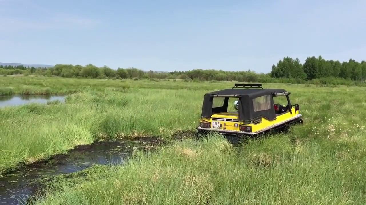 TERRANICA Dreamtrack на болоте