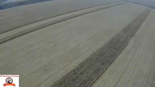 WILD BOAR HUNTING! охота на кабана с дельтаплана