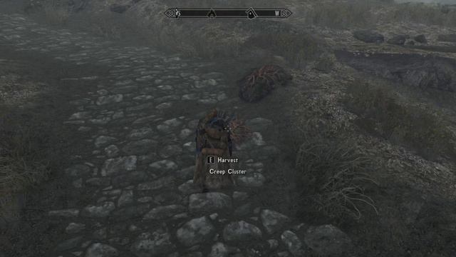 Skyrim Special Edition Live Stream EP 12