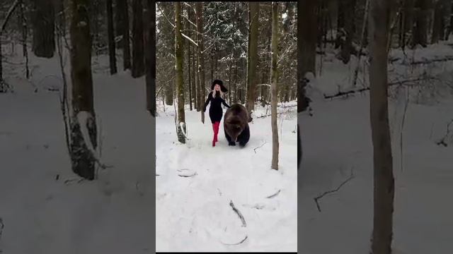 Для поднятия  настроение! #funnyanimals #tik Tok#funnycats #funnyvideo #kucinglucu #shorts