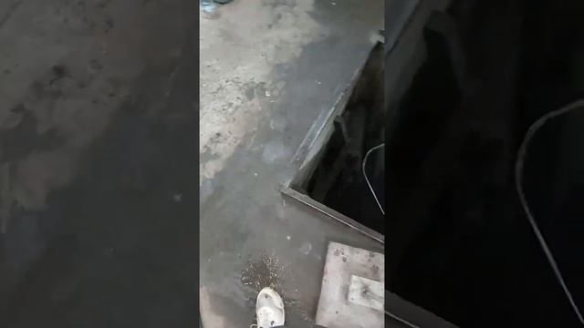 Спортивная Ласточка