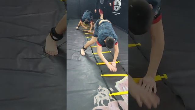 99e432419d1c43d7c5f1642479f33a17