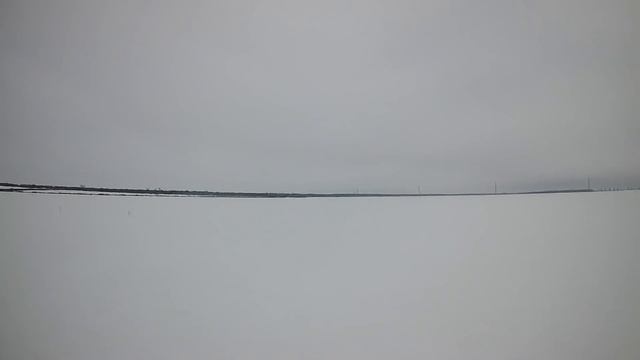 охота  на   зайца    30 (  на  кубань  пришла  зима )