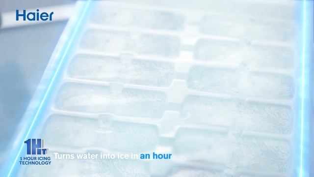 190007f81b5a27d0fb07c4de199729c3