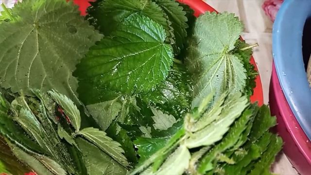 49894b44ec28e34947b0eab6d38ccd22