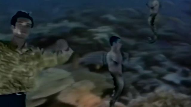 Браво-Жар-птица.mp4