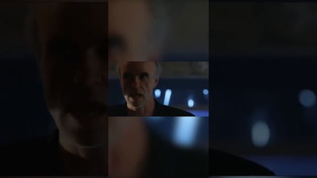 Атака пауков случилась