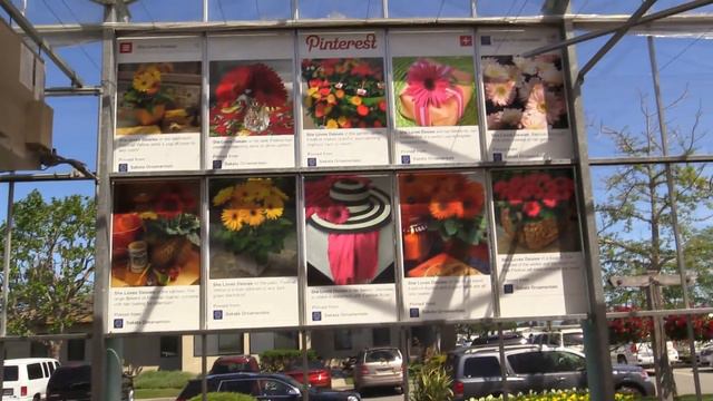 2014 Spring Trials: Sakata