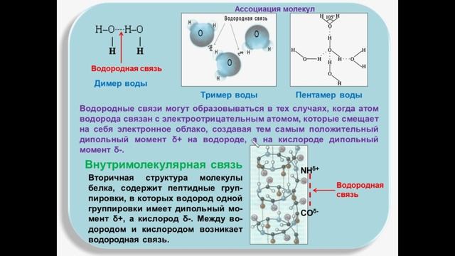 № 32. Неорганическая химия. Тема 4. Химическая связь. Часть 6. Водородная и металлическая связи