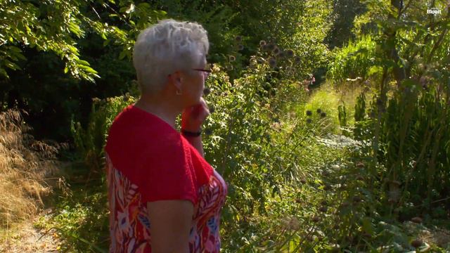 Pronkjewail Op 't Nije Laand | Alles Wat Bloeit