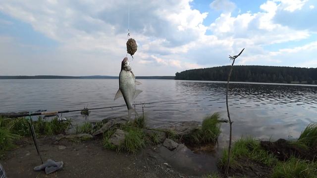УБИЙЦА КАРАСЯ ПРОТИВ ИНЛАЙН МОНТАЖА! ПЕНОПЛАСТ ИЛИ ЖИВАЯ НАСАДКА! КЛЕВАЯ РЫБАЛКА НА ФИДЕР! 2020!