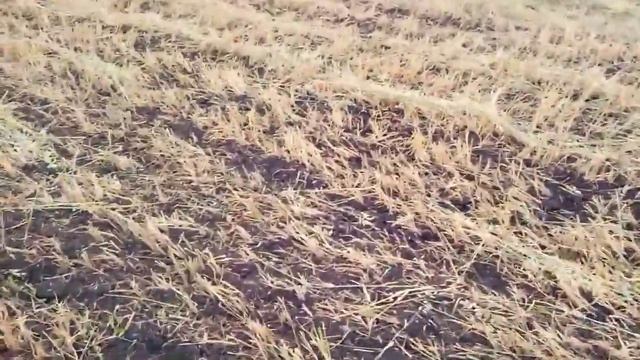 959504753cbd00354d1764d6da71b3bd