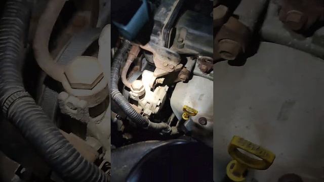 Kia Ремонт и обслуживание: Rio, Sportage, Ceed